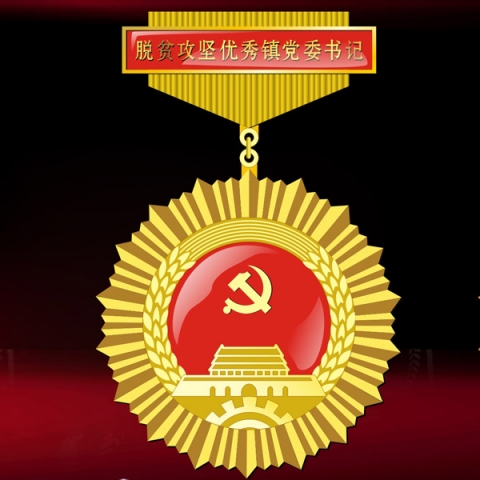 陜西定制　脫貧攻堅優(yōu)秀鎮(zhèn)黨委書記獎牌獎章定做
