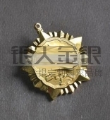 江門市政府金質(zhì)功勛章,功臣勛章,功臣獎章