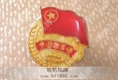 團徽圖片設(shè)計欣賞制作 