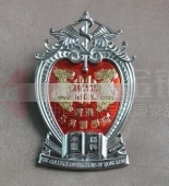 香港外科醫(yī)學(xué)院高級(jí)徽章,高檔金屬制品,金銀工藝品